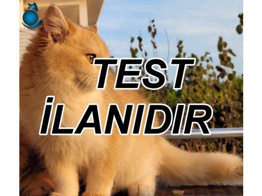 Admin test ilanı