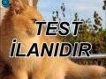 Admin Test ilanıdır