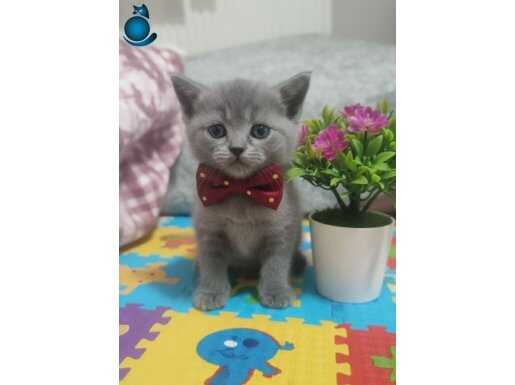 GÜZELLİK TESLİME HAZIR