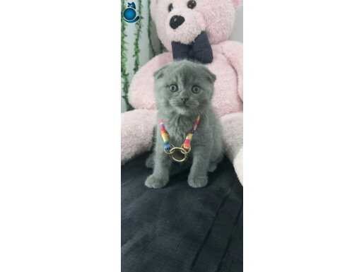 TOP SURATLI BEBEĞİMİZ TESLİME HAZIR