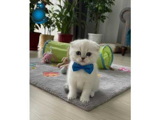 BU GÜZELLİK ŞAKAMI..BEBEĞİM MUHTEŞEM GÜZELLİKTE