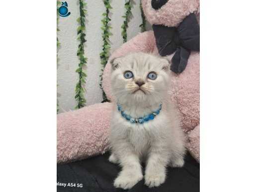 SEVGİ YUMAĞI TOP SURAT BEBEK TESLİME HAZIR