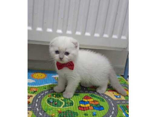 Top Yüzlü Sevimli Bebeğim