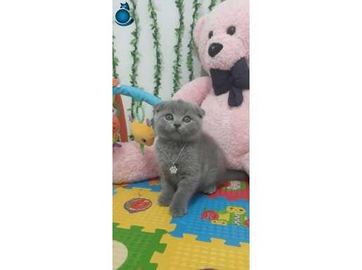 BU GÜZELLİK EVİNİZE NEŞE GETİRİR