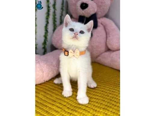 SEVGİ YUMAĞI BEBEĞİM TESLİME HAZIR