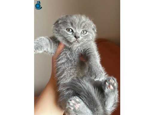 PONÇİK BEBEĞİM TESLİME HAZIR