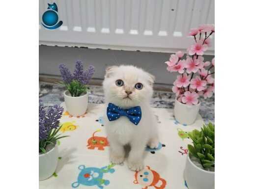 Boncuk gözlü bebeklerim çok tatlı