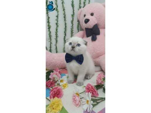 PONÇİK BEBEĞİM TESLİME HAZIR