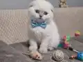 Top yüzlü bebeğimiz teslime hazır