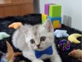 Bebeklerimiz yeni yuvaya gitmeye hazır