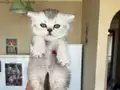 Bebeklerimiz yeni yuvaya gitmeye hazır