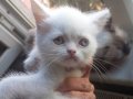 GÜZELLİKLER YENİ YUVAYA GİTMEYE HAZIR