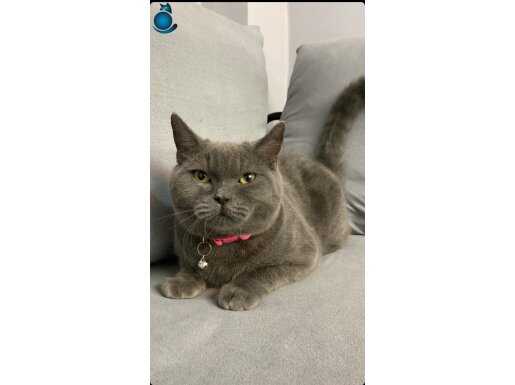 1 YAŞINDA ÇOK UYSAL VE AKILLI 
