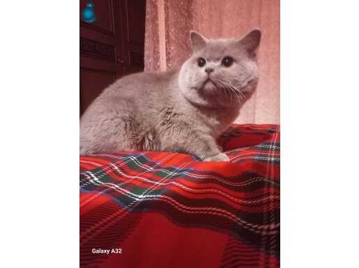 Ayı suratlı aslanım..