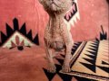 Yavru Spenks ler Yeni Ailesini Arıyor Yer Ankara