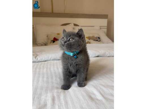  Etkileyici güzellikte bebeklerimiz