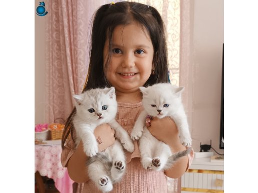 AYI SURAT BAL KIZLAR