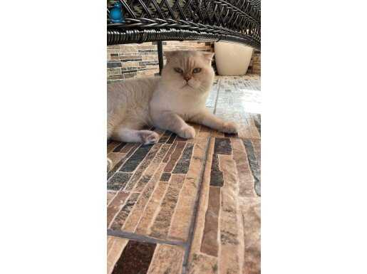 ogluma yuva arıyorum eşyasıyla verilecek