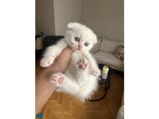 2 DİŞİ BEBEK SON BEBEKLER