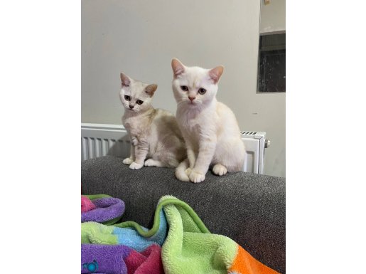 Çirkinlerin en güzeli bunlar