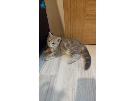 SON 1 YAVRU KAÇIRAN PİŞMAN OLUR