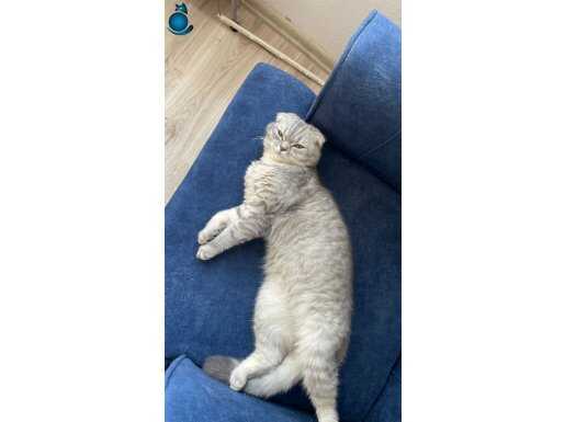 Minik kızımız liya