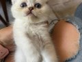 Sevimli iki kiz kardes