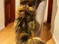 Seceresi şampiyonlar ile dolu POLİDAKTİL dev kızımız 