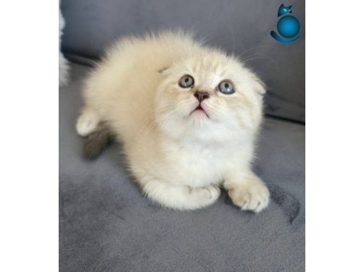 Sevimli Şeblek Ailesini Bekliyor