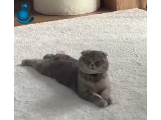 Kızımız bır buçuk yaşında Beylikdüzü’ndeyiz 