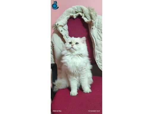 Yakışıklı Prenses'imiz 