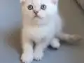 Güzel kızımız yeni yuvasna gitmeye hazır 