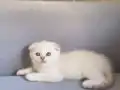 Güzel kızımız yeni yuvasna gitmeye hazır 