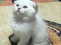 Mavi'nin en güzel tonu kızımızın gözlerinde hayat bulmuş 