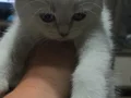 Mavi'nin en güzel tonu kızımızın gözlerinde hayat bulmuş 