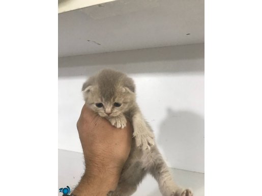 GÜZEL KIZIMIZ
