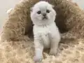 EN GÜZELİ,EN GÜZELİDİR..