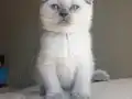 EN GÜZELİ,EN GÜZELİDİR..