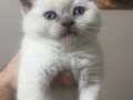 LOVE BABY