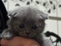 Oyuncu minikler yeni yuvalarına hazır