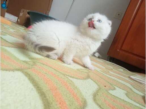 Ailenizin yeni üyesi 