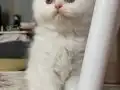 Çok güzeliz be :) 