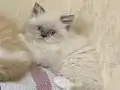 Çok güzeliz be :) 