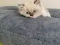 Çok güzeliz be :) 