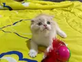 Çok güzeliz be :) 