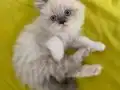 Çok güzeliz be :) 