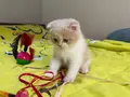 Çok güzeliz be :) 