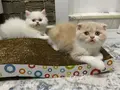 Çok güzeliz be :) 