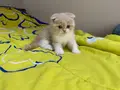 Çok güzeliz be :) 