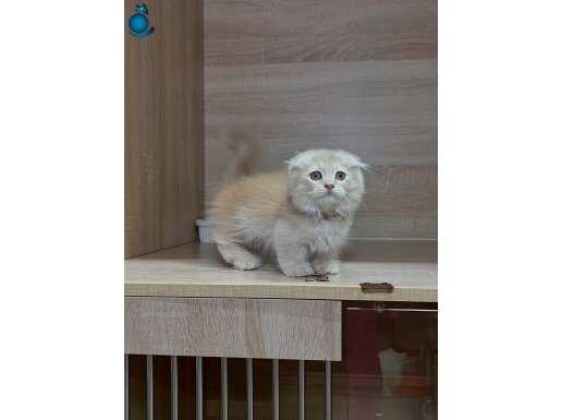 Farklı olmak isteyenler için 